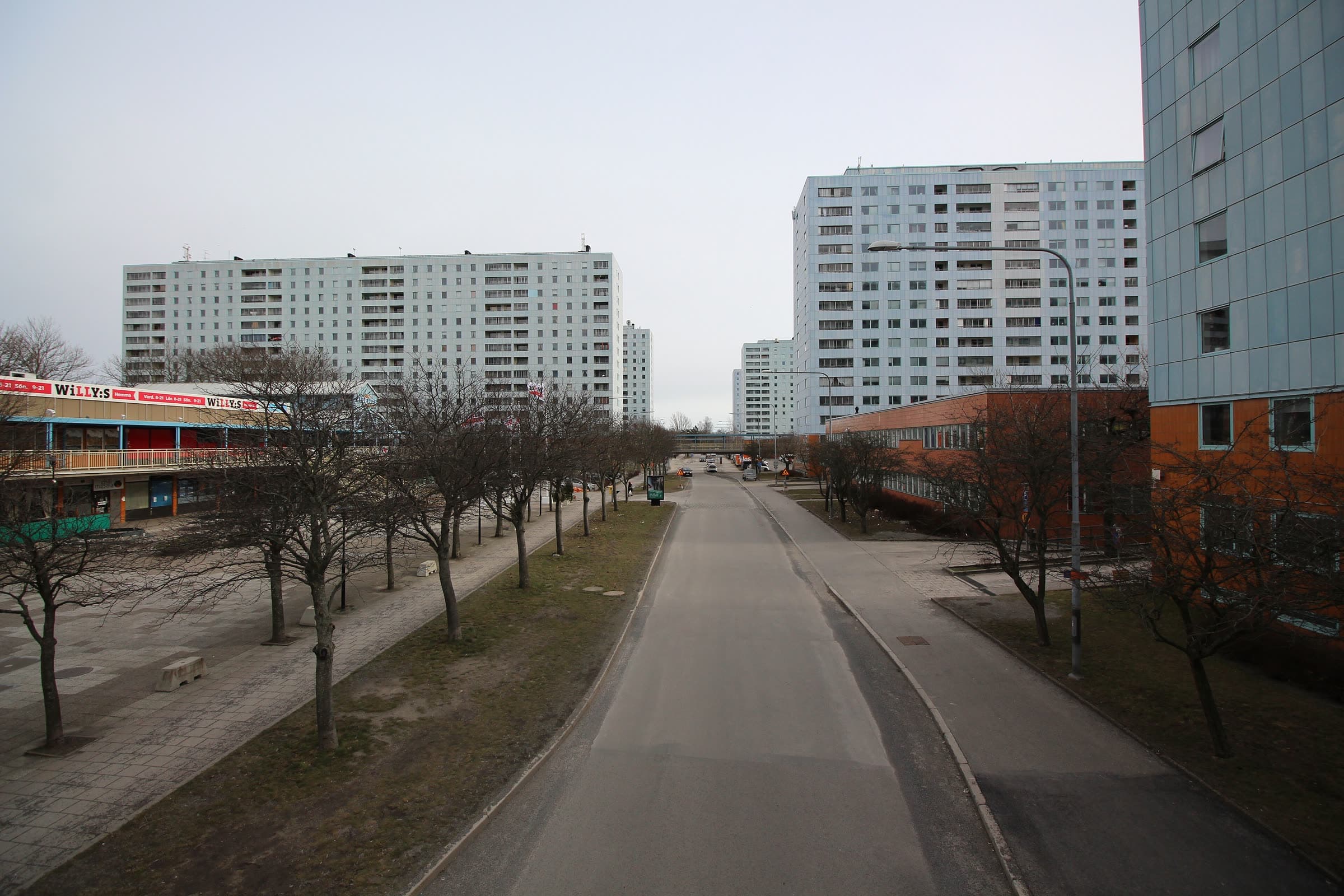 Trädkantad gata längs Hagalundsgatan med Hagalunds höghus i bakgrunden