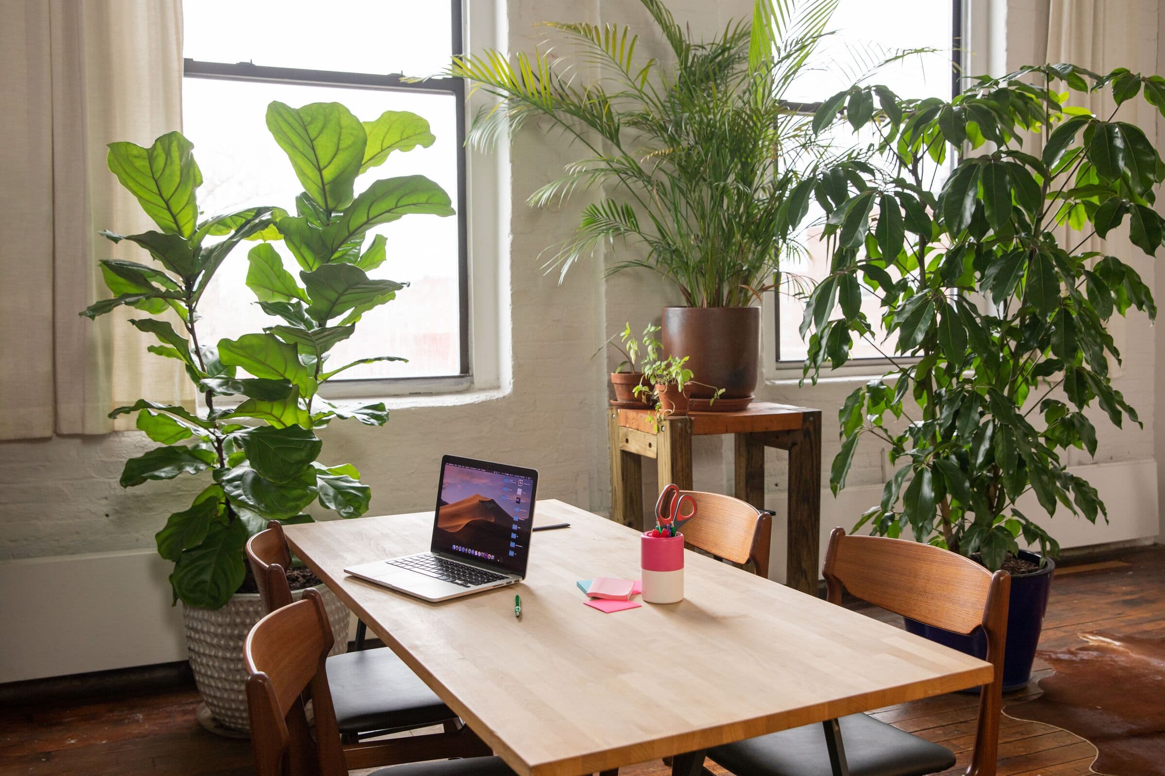 Arbetsplats med träbord, bärbar dator och gröna växter vid fönstret
