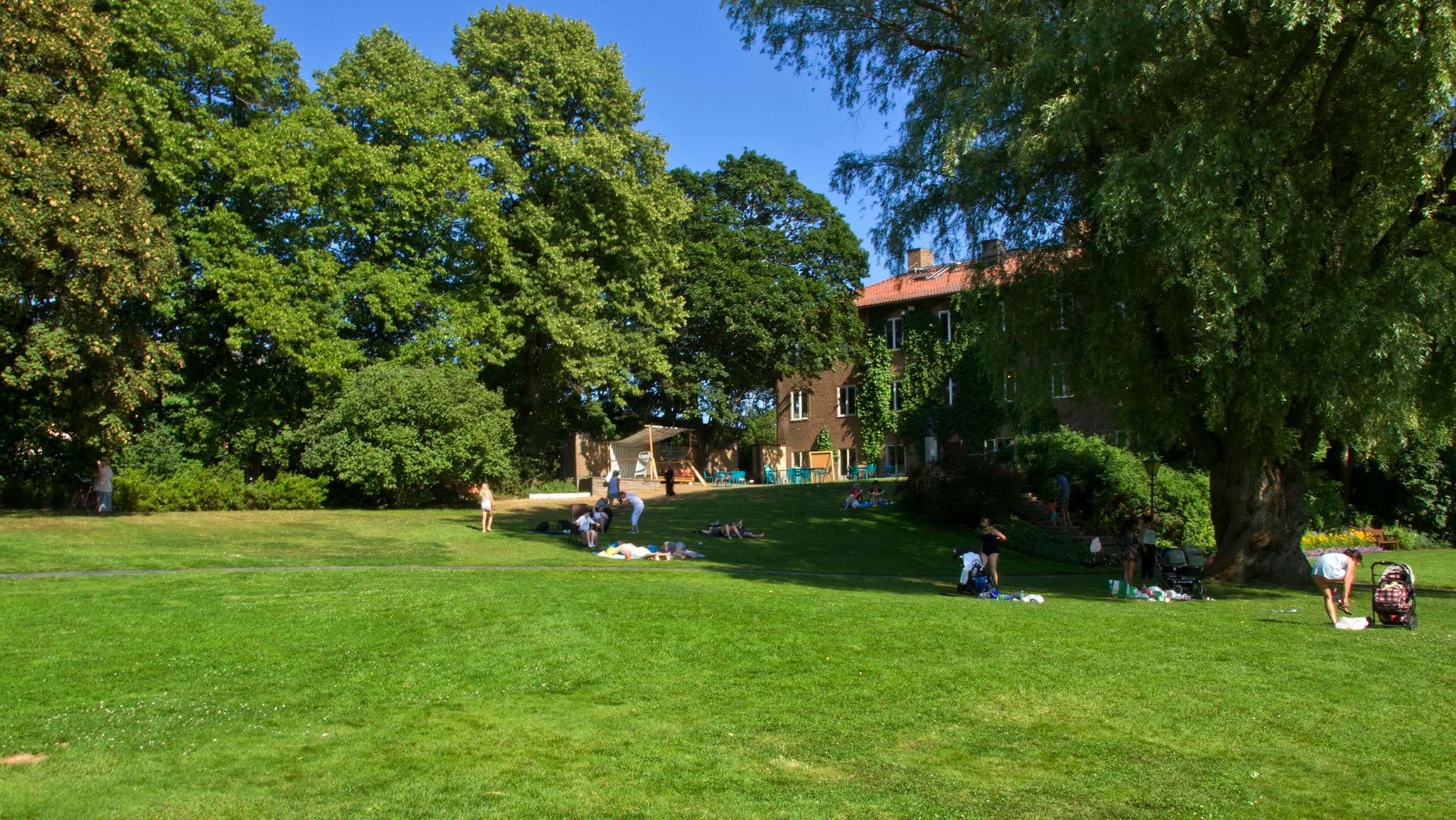 Grönska i Marabouparken i Lilla Alby, Sundbyberg