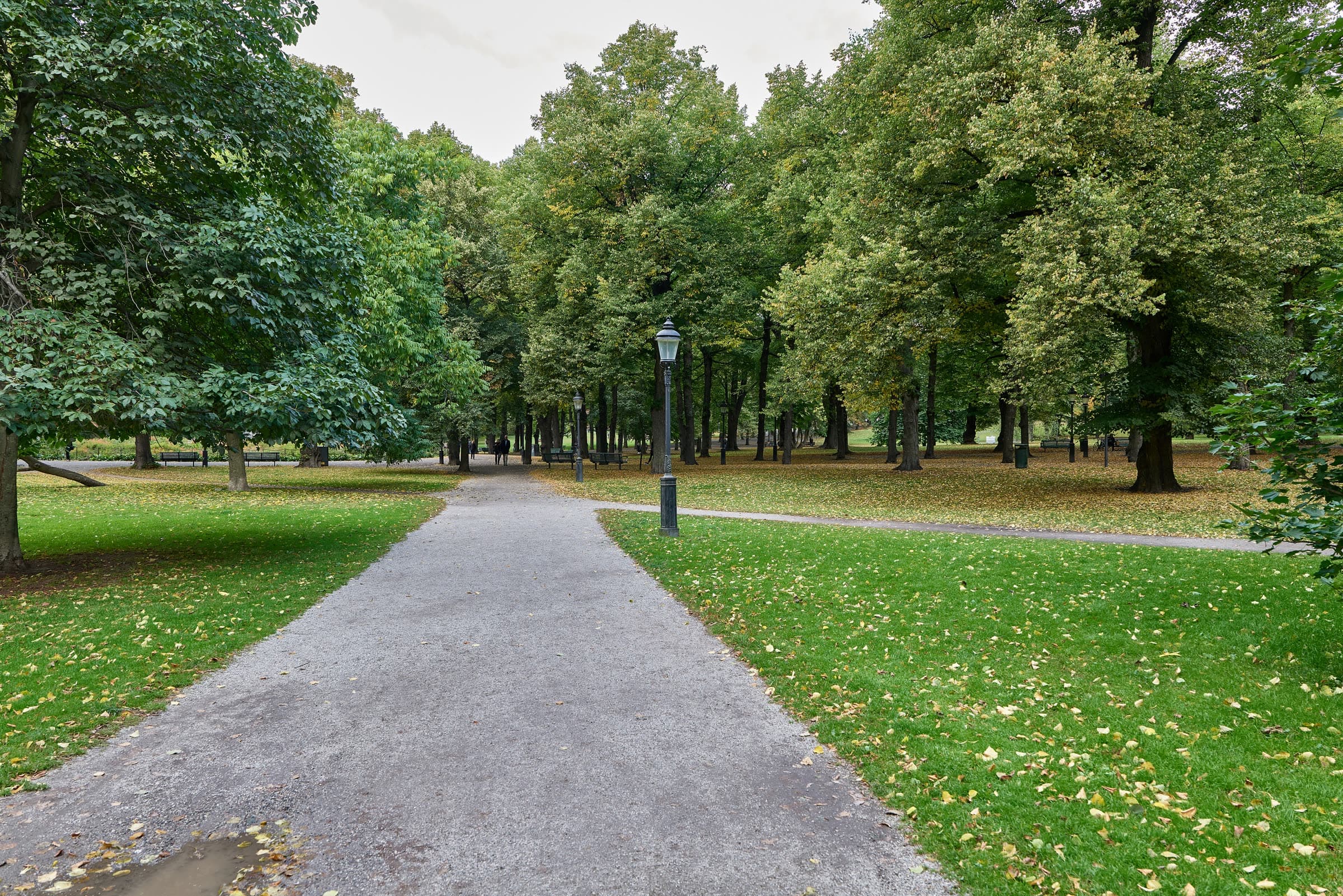 Gångväg mellan lummiga träd i Humlegården på Östermalm